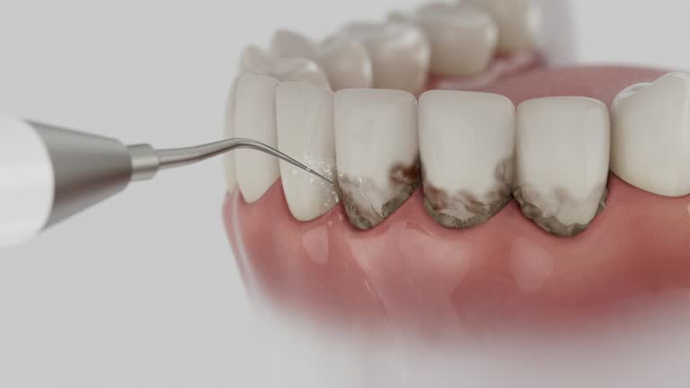 Reliable Dental contractor in Little Cypress, TX by Dentist Open Now